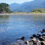 2024年夏の水難事故件数は488件